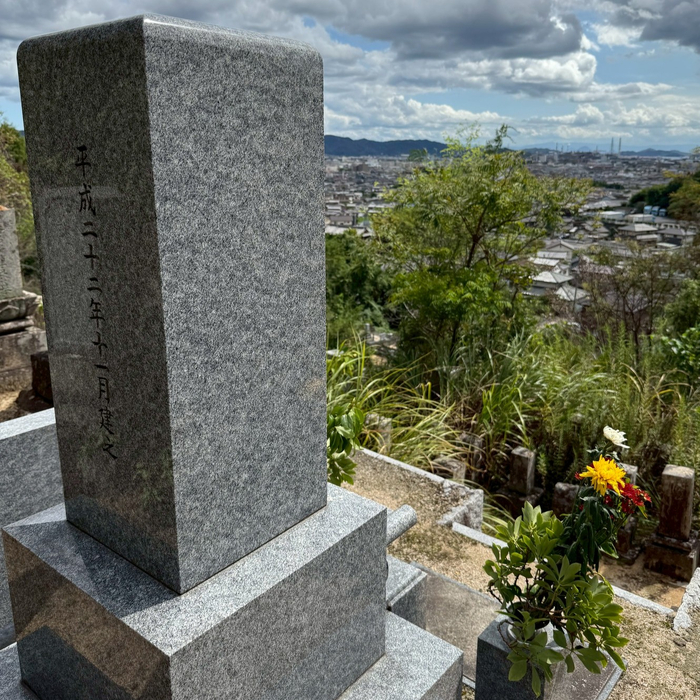 画像243