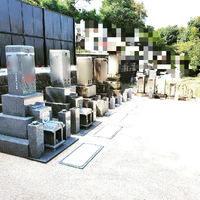 画像254