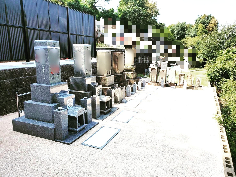 画像254