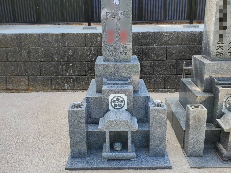 画像255