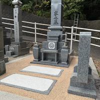 画像262
