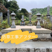 画像286