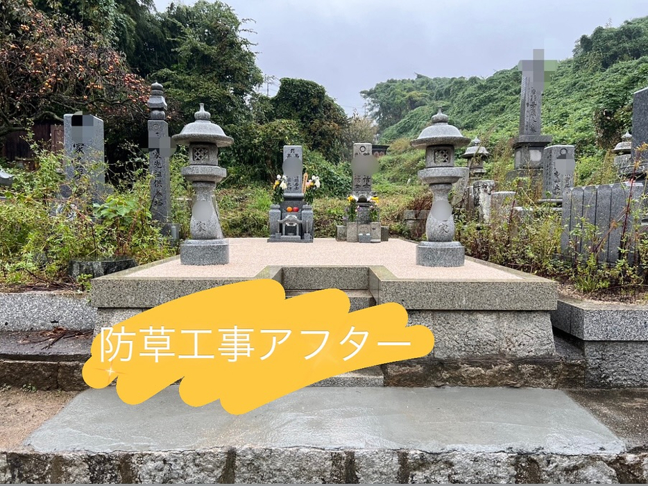 画像286