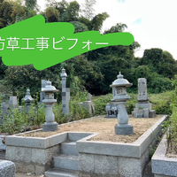 画像287