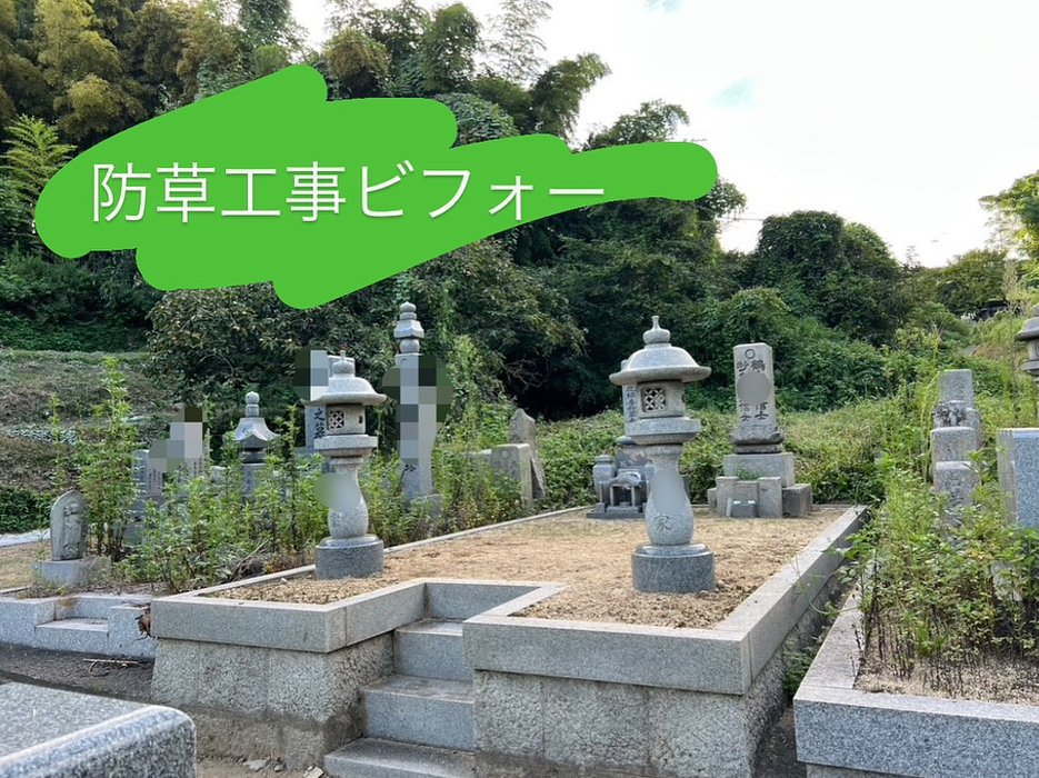 画像287