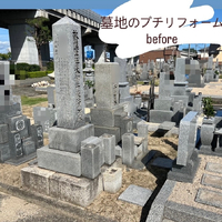 画像290
