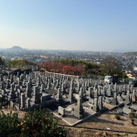 画像323
