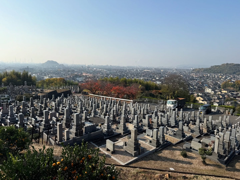 画像323