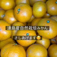 画像330