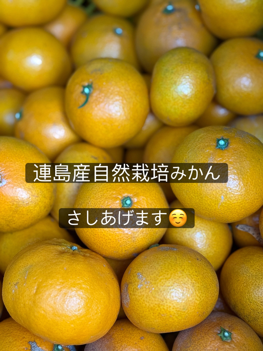 画像330
