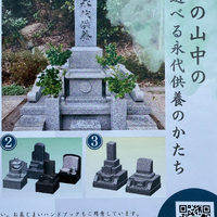 画像335