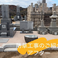 画像341