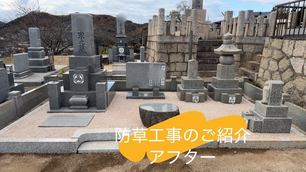 画像341