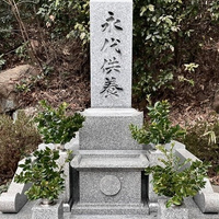 画像351
