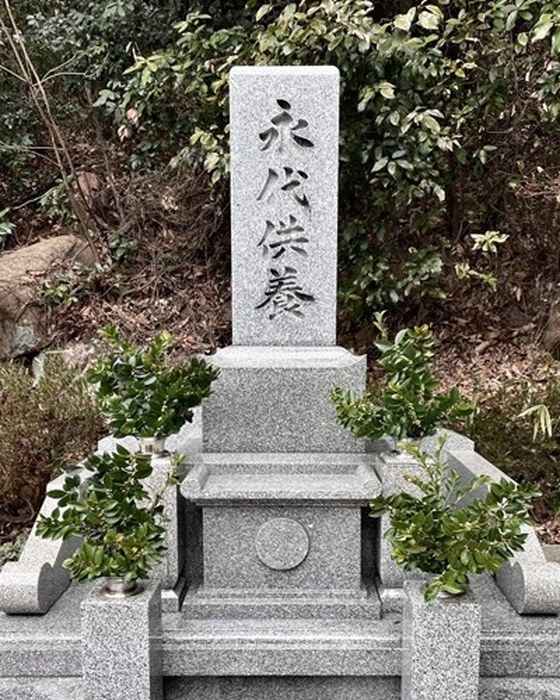画像351