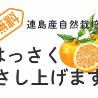画像375