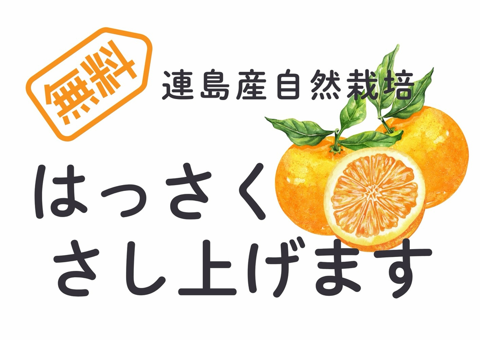 画像375