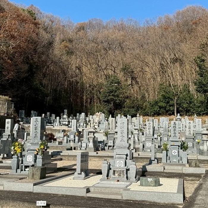 画像378