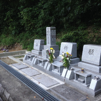 画像379