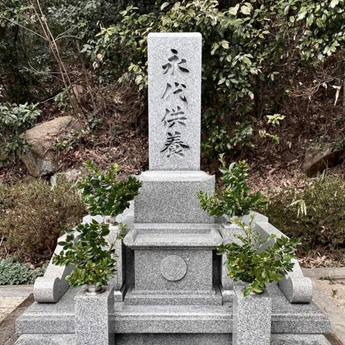 画像381