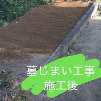 画像386