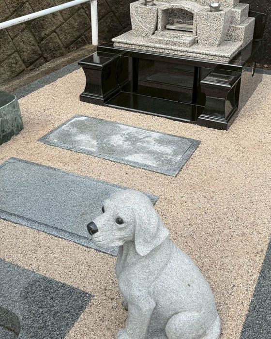 画像409