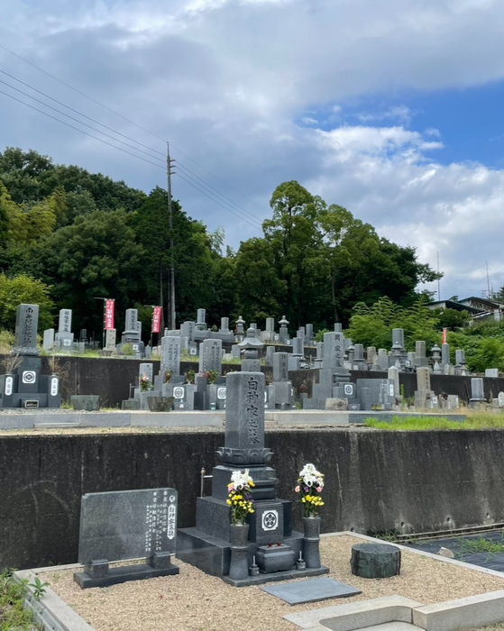 画像412