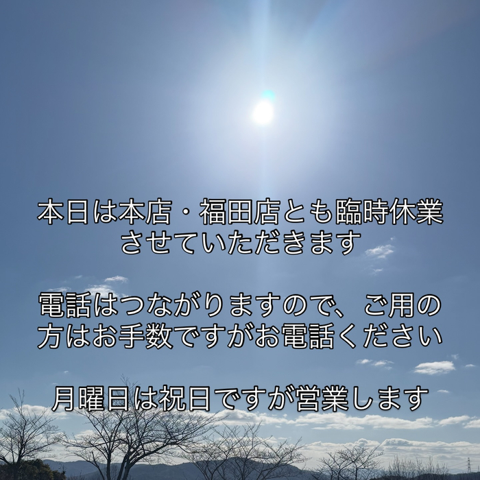 画像415