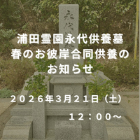 画像423