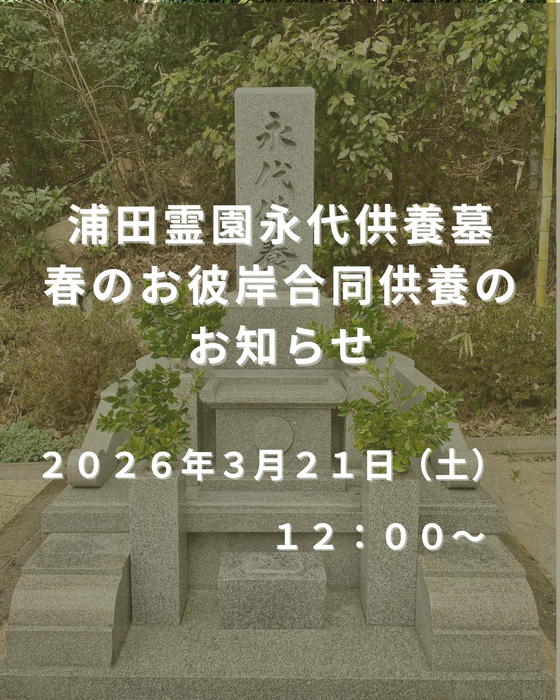 画像423