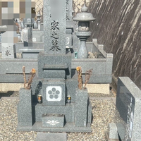 画像429