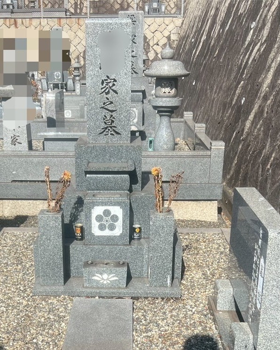 画像429