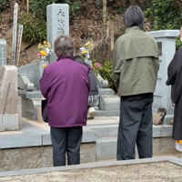 画像441