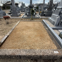 画像442