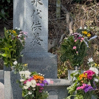 画像450