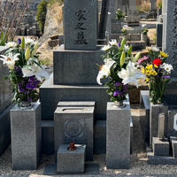 画像453