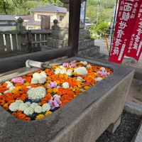 画像469