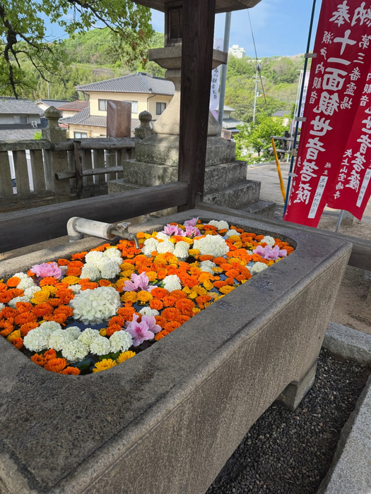 画像469