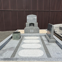 画像503