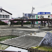 画像515