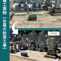 画像557