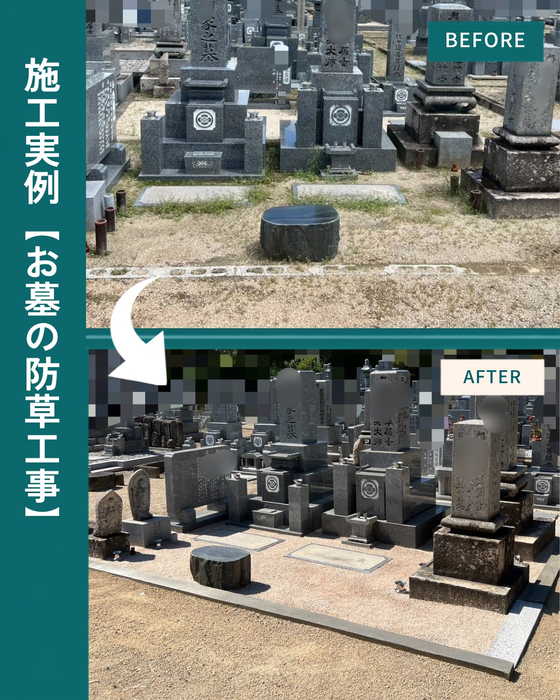 画像557