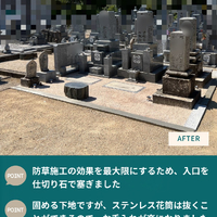 画像559