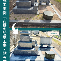 画像563