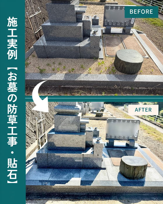 画像563